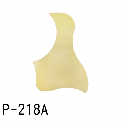 P-218A.png